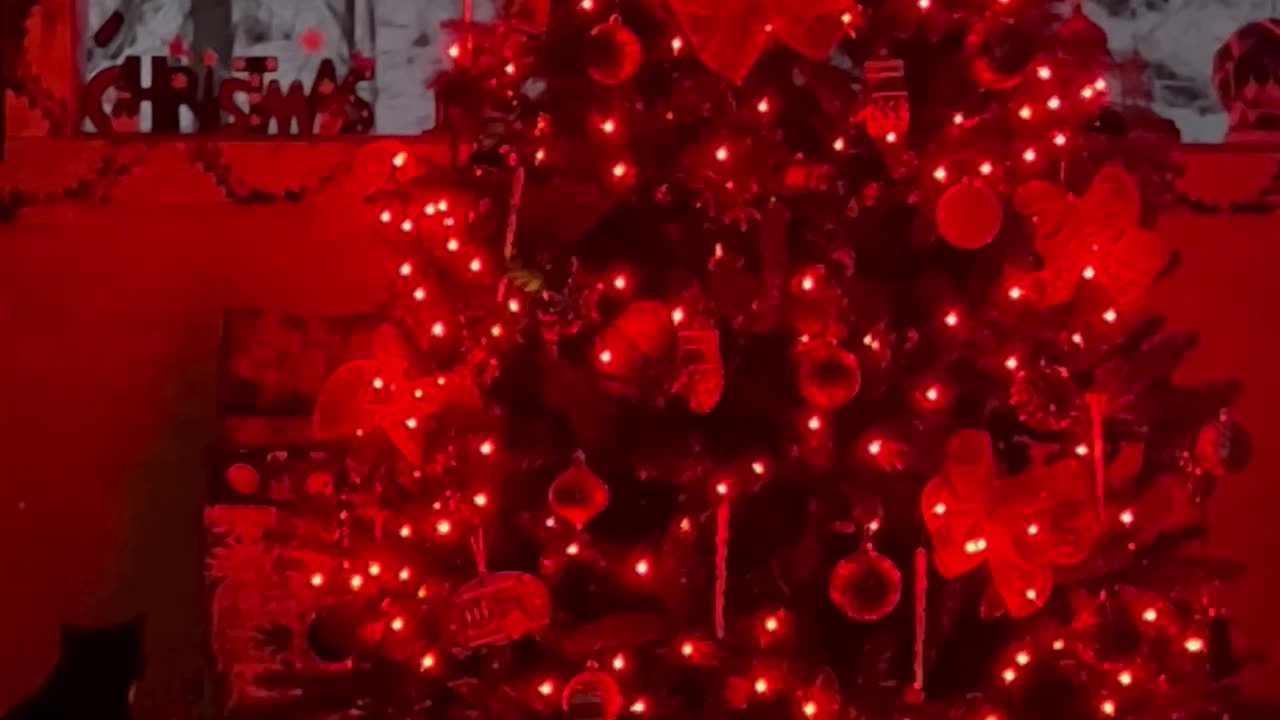 It’s almost Christmas time!