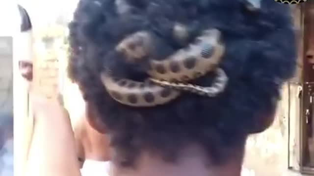 A cobra snake lives in his hair, witness that you will not regret