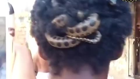 A cobra snake lives in his hair, witness that you will not regret