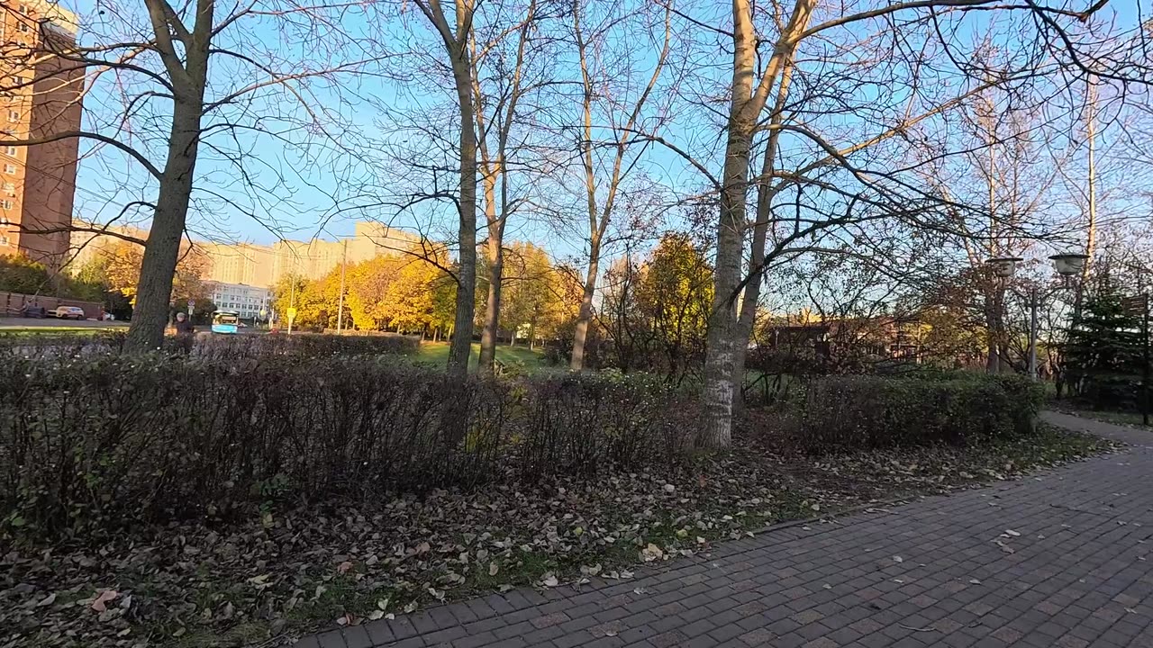 An autumn walk through Raduga Park with a brief stop by the pond, where ducks await a treat