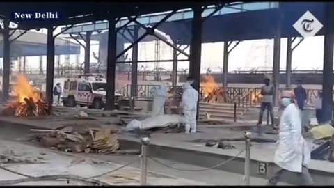 Depopulation Update - October 2023