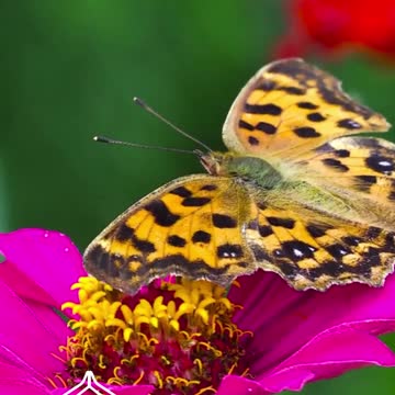 Brain Waves for deep sleep and stress therapy | Creativity #brainwaves😴🧸