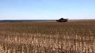 Ukraine farmers rush to harvest grain from Donbas fields