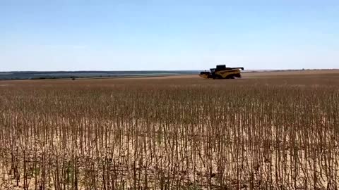 Ukraine farmers rush to harvest grain from Donbas fields