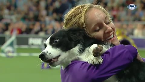 P!nk the border collie wins back-to-back titles at the 2019 WKC Masters Agility | FOX SPORTS