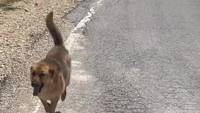 Her beslememiz sonrası beni böyle yolcu ediyorlar kimde var bu vefa