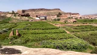 The battle between China and Yemen's grapes