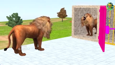 Cartoon animation