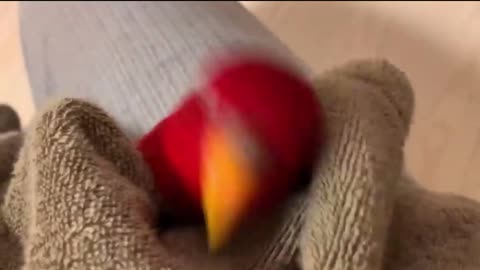 Uwe Uwe Uwe Uwe