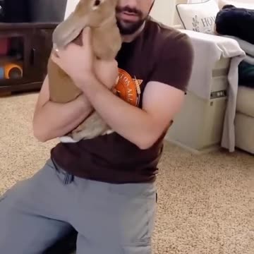 😹Funny and Cute Animal Videos Everyday🥰 | Animals LOL Moments #funnyanimals # funnyvideo