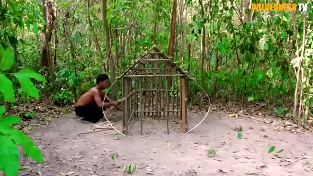 Dog House For Abandoned Puppies