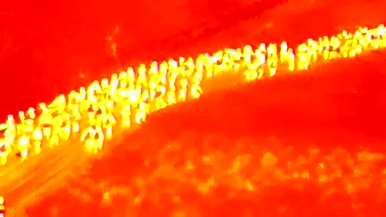 Hundreds Of Migrants Entering Texas Get Caught On Video