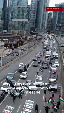 Pro-Palestinian Protesters Block Toronto’s Gardiner Expressway