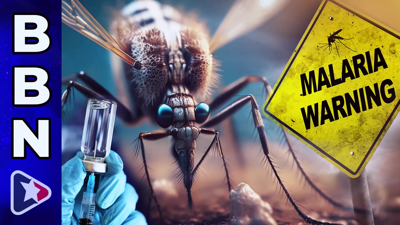 CDC issues MALARIA ALERT as vaccines are readied for next plandemic psyop