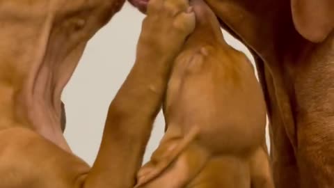 I Am Not Your Mother