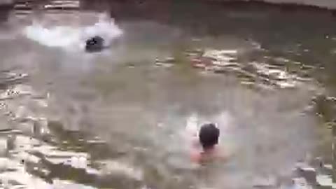 Dedicated dog save his human