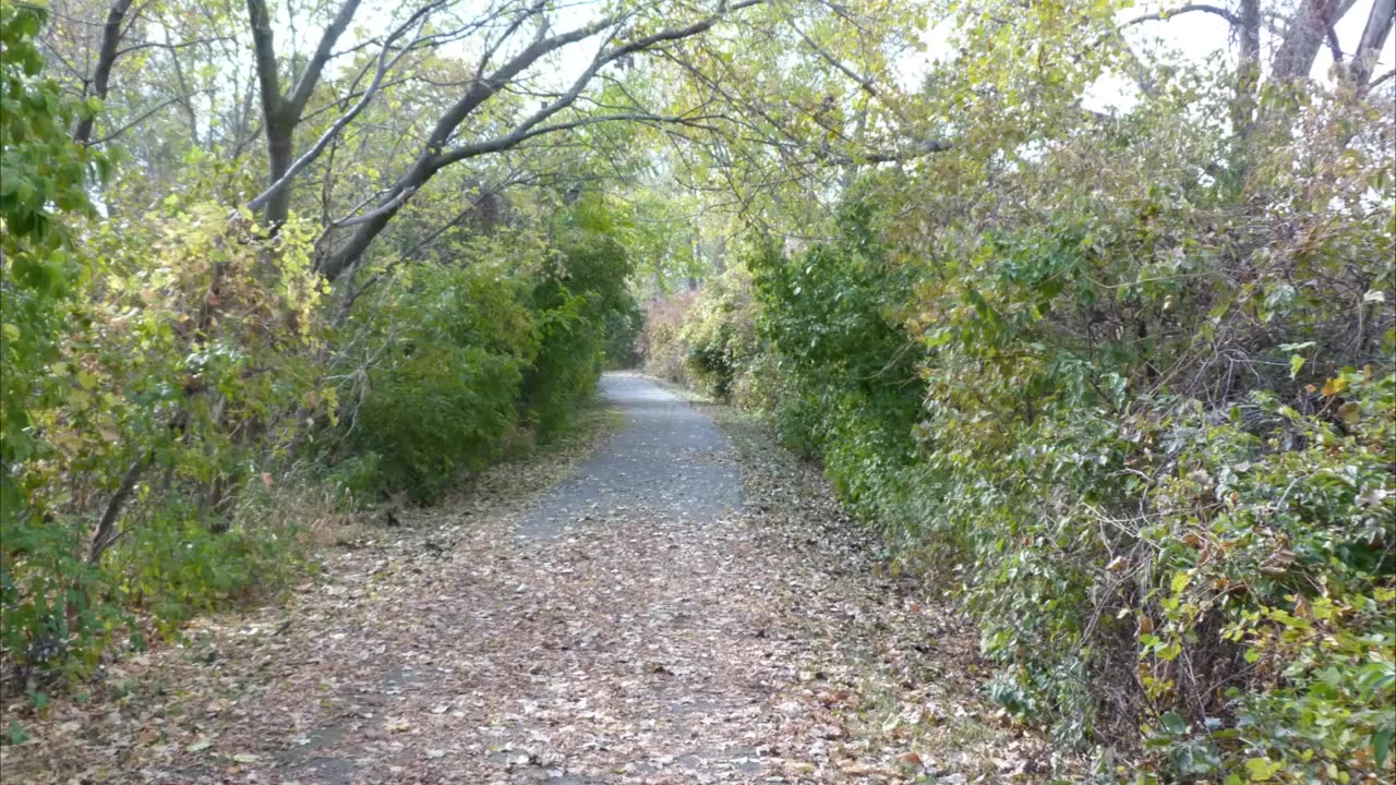 Sterling State Park, Michigan. Slideshow.