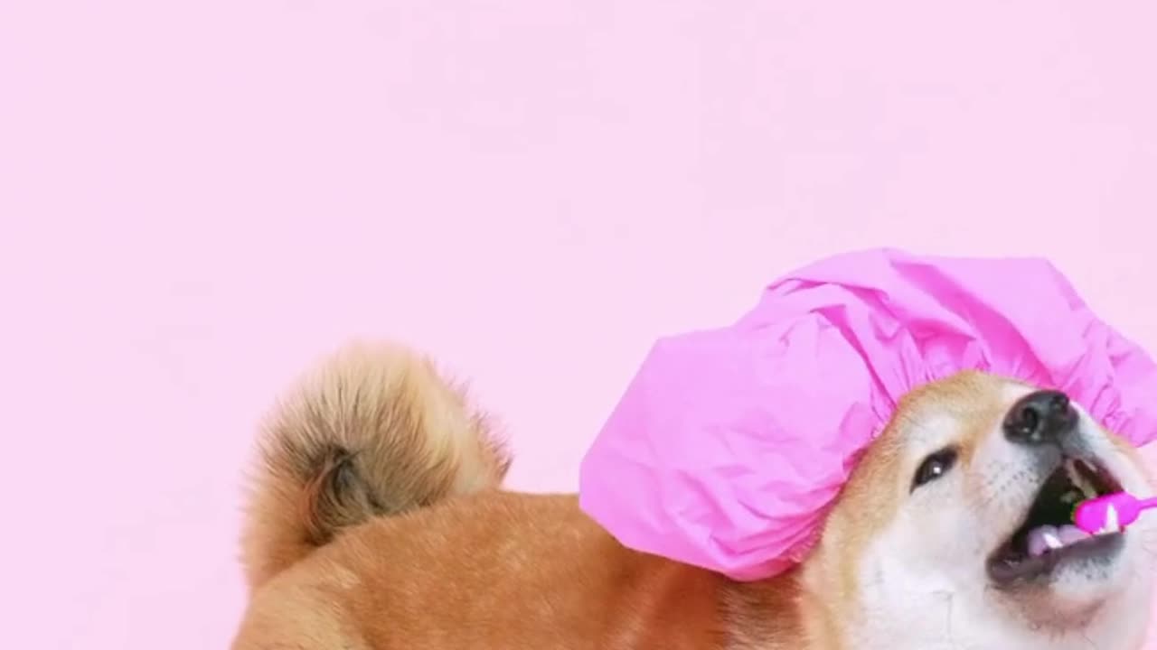 It's funny and beautiful at the same time