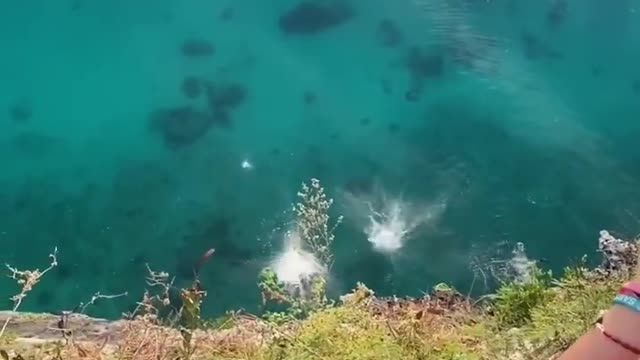 Pole throw 🤝 two divers 👉 superb shot 🎥🤩 _shorts