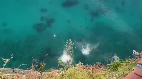 Pole throw 🤝 two divers 👉 superb shot 🎥🤩 _shorts