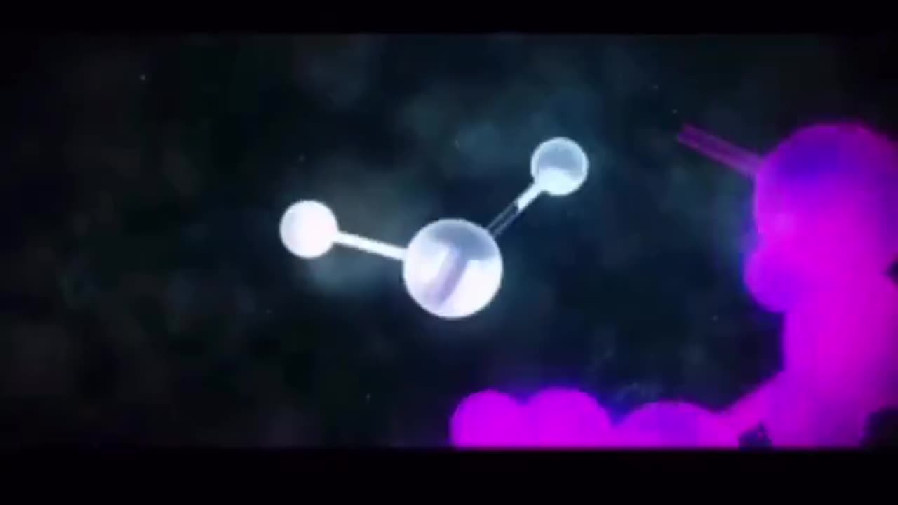 植物油正在殺死你