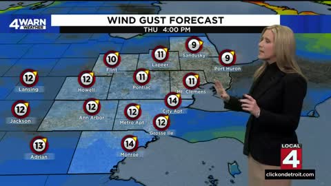 Metro Detroit weather forecast Nov. 30, 2022 -- 5 p.m. Update