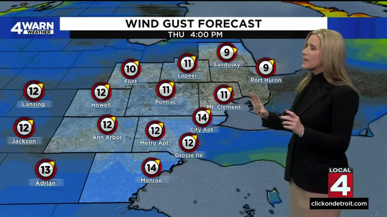 Metro Detroit weather forecast Nov. 30, 2022 -- 5 p.m. Update