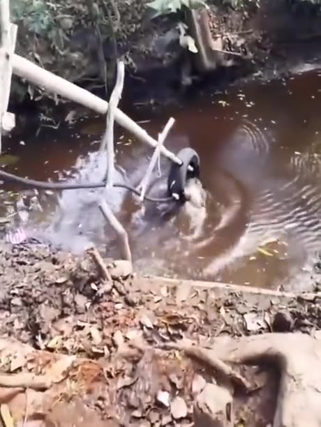 DIY Piped Water #skillsshowcase #thinkingoutofthebox