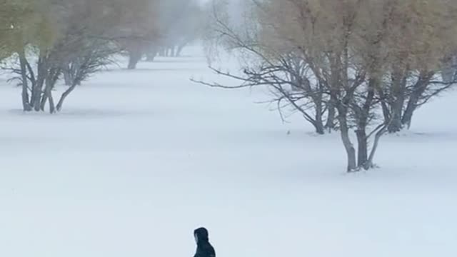 красота зимняя.mp4
