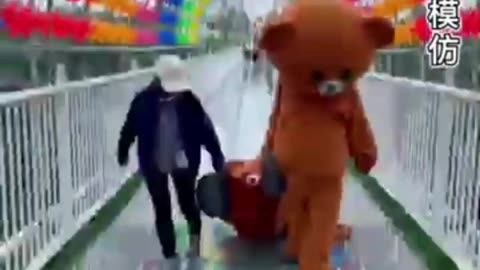 Watch this short funny bear
