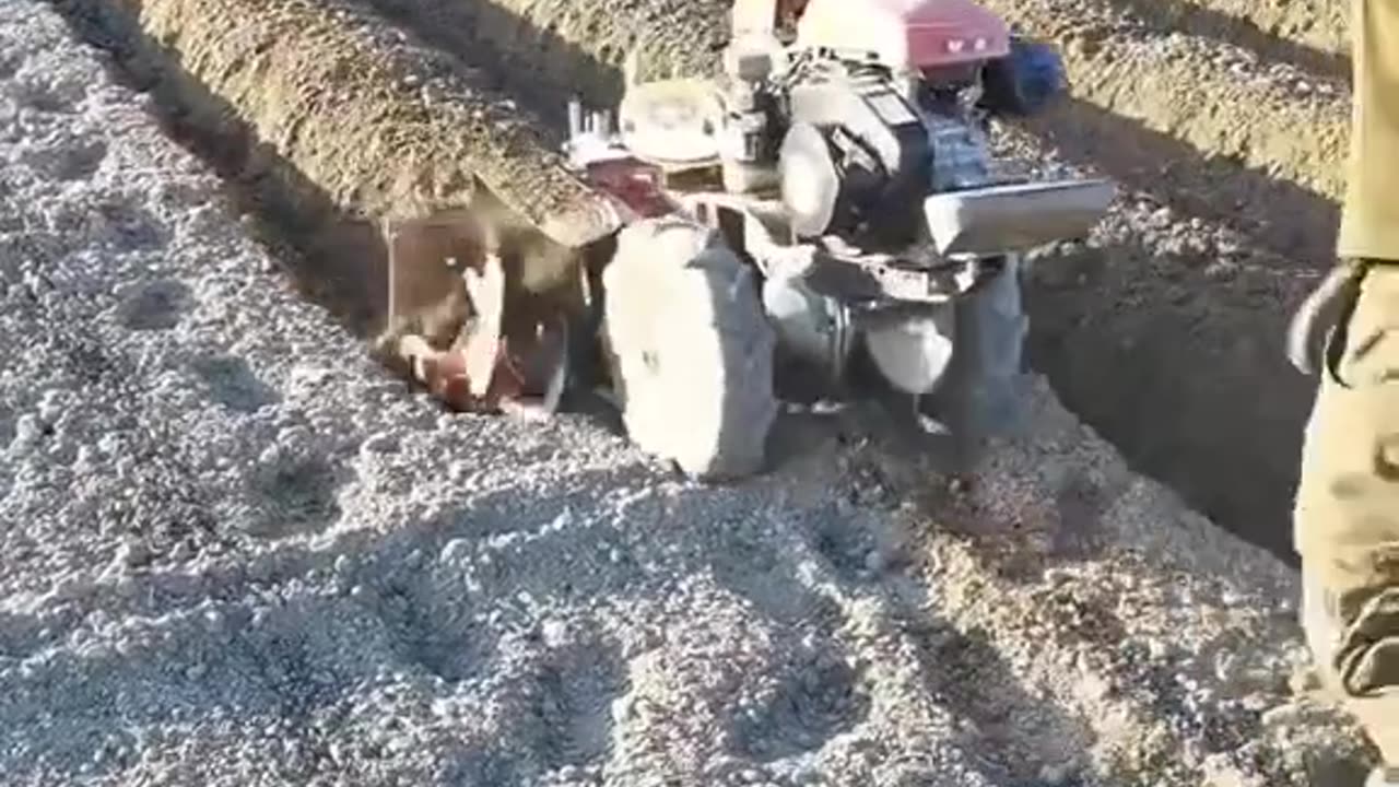 CRC vídeos curiosos