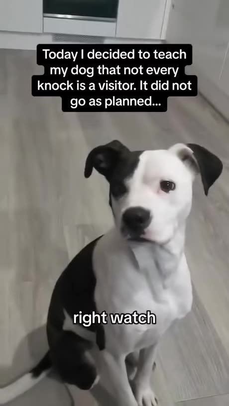 "Knock knock...who's there? ❤️