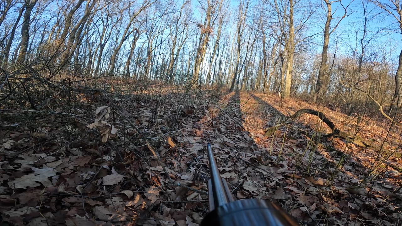 Collage of Rifle Season Videos with a Surprise in the Middle.