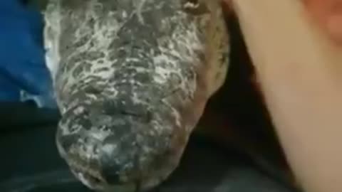 ΘΑ ΤΟ ΠΕΡΝΑΤΕ ΓΙΑ ΚΑΤΟΙΚΙΔΙΟ?