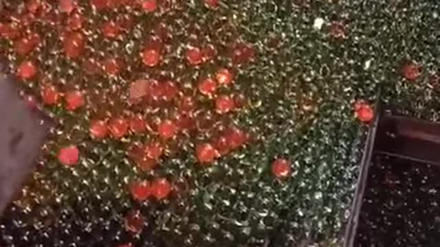 Вы делаете стеклянные шарики?