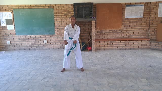 A38 - Taslideen Hans - Green - Pinan Nidan