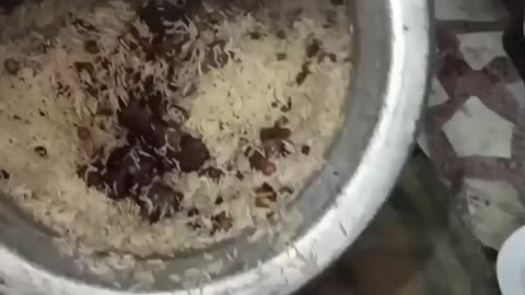 Famous rice in pakistan