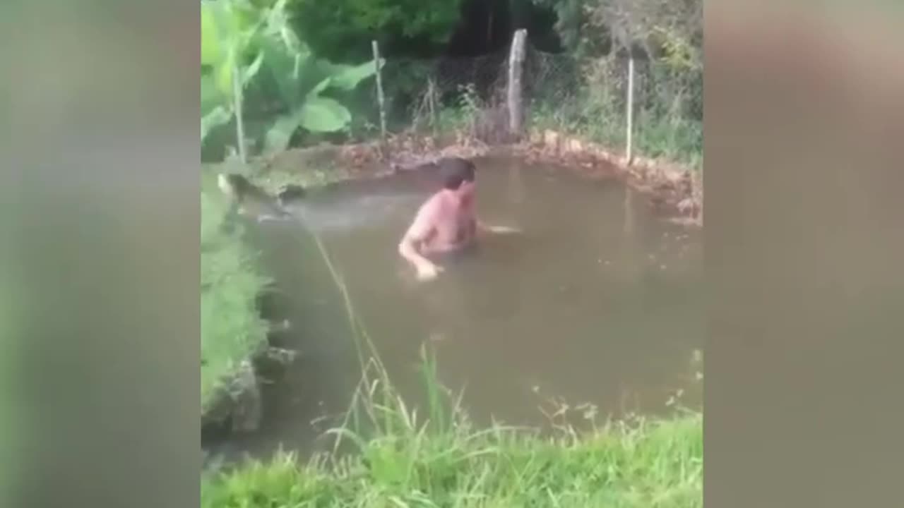 Man Surrounded Huge Fishes in the Pool