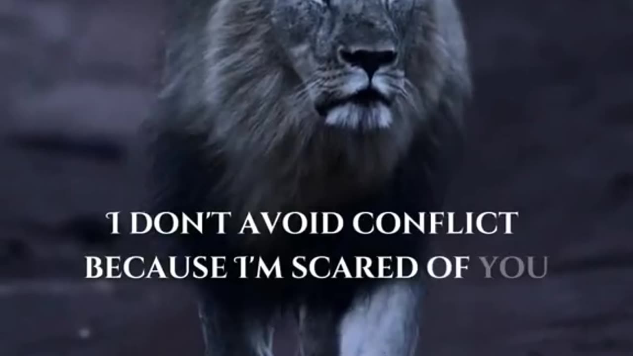 Mind of a millionaire
