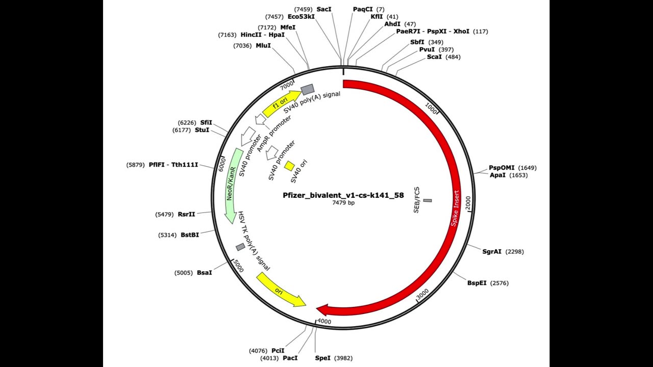 Graveyard Shift Ep17 (SV40 plasmid not an accident) by Dr. Paul Cottrell