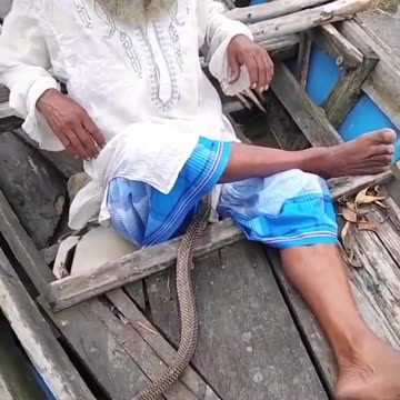 A Snake's Surprise Encounter with the Singing Sailor"