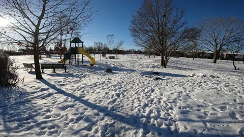 🚮❄️ Winter Edition Picking Up Trash @ Tallwood Park In Ottawa Canada ☀️⛄⛷️