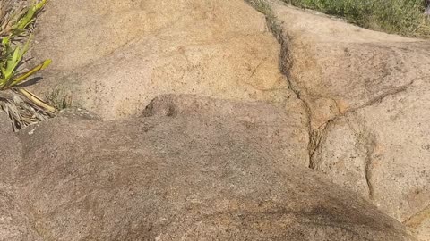 24/28 - Experiência imersiva pelas Praias de Governador Celso Ramos até a Praia das Conchas