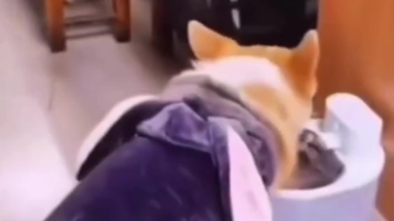 Let's have a break, I need some water