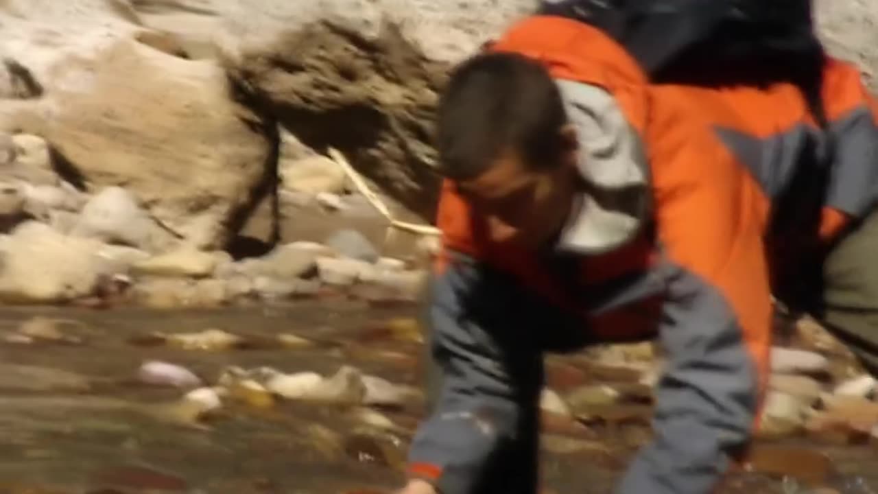 Bear Grylls Hunting fish || Man vs Wild