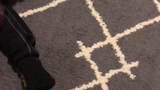 He made a song for me