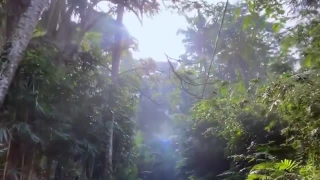PRAMANA GIRI KUSUMA ~A Healing Sanctuary 〰️