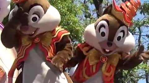 Couple Chipmunks cake eater in street show