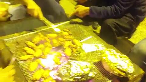 BBQ party with friends