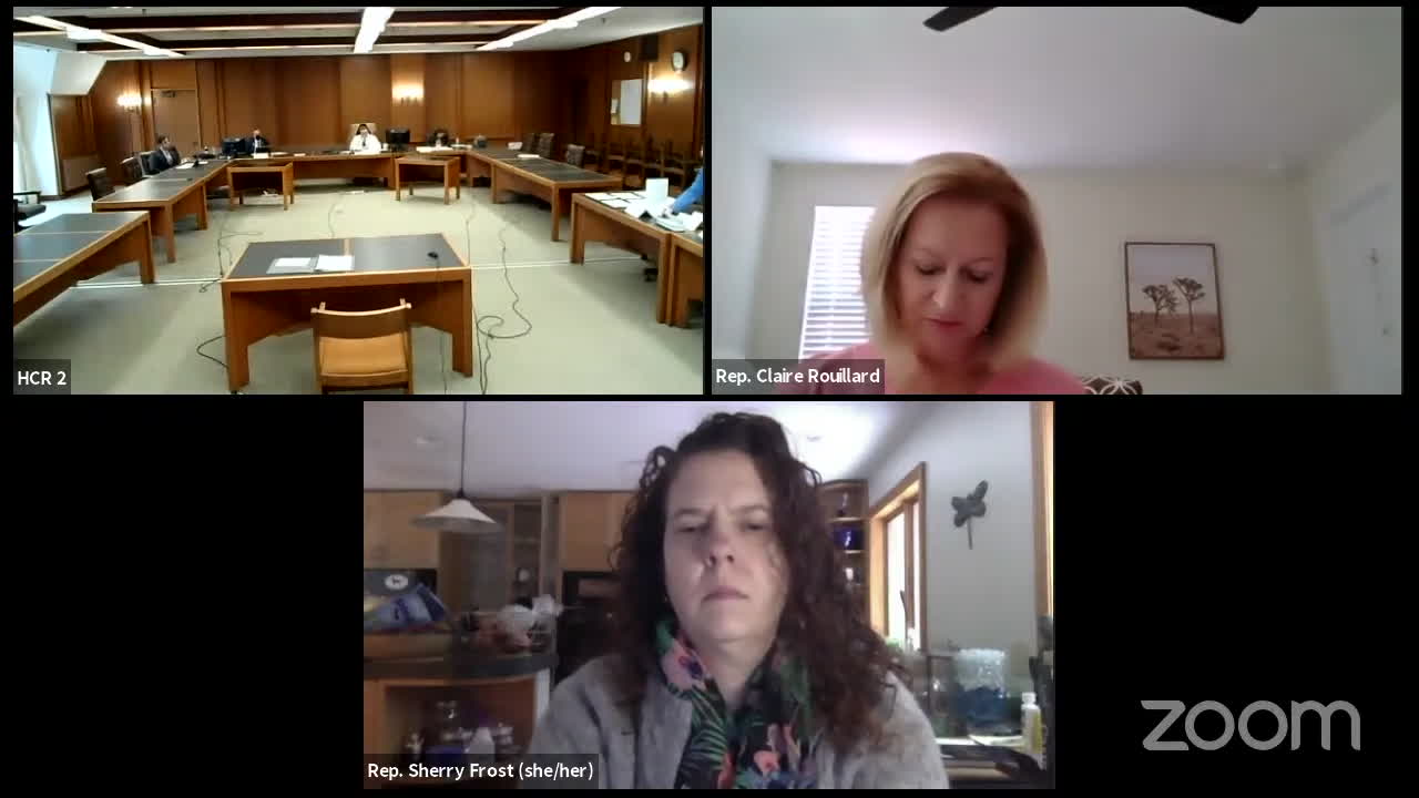 Melissa Blasek NH HCR2 testimony